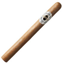 Ashton Corona
